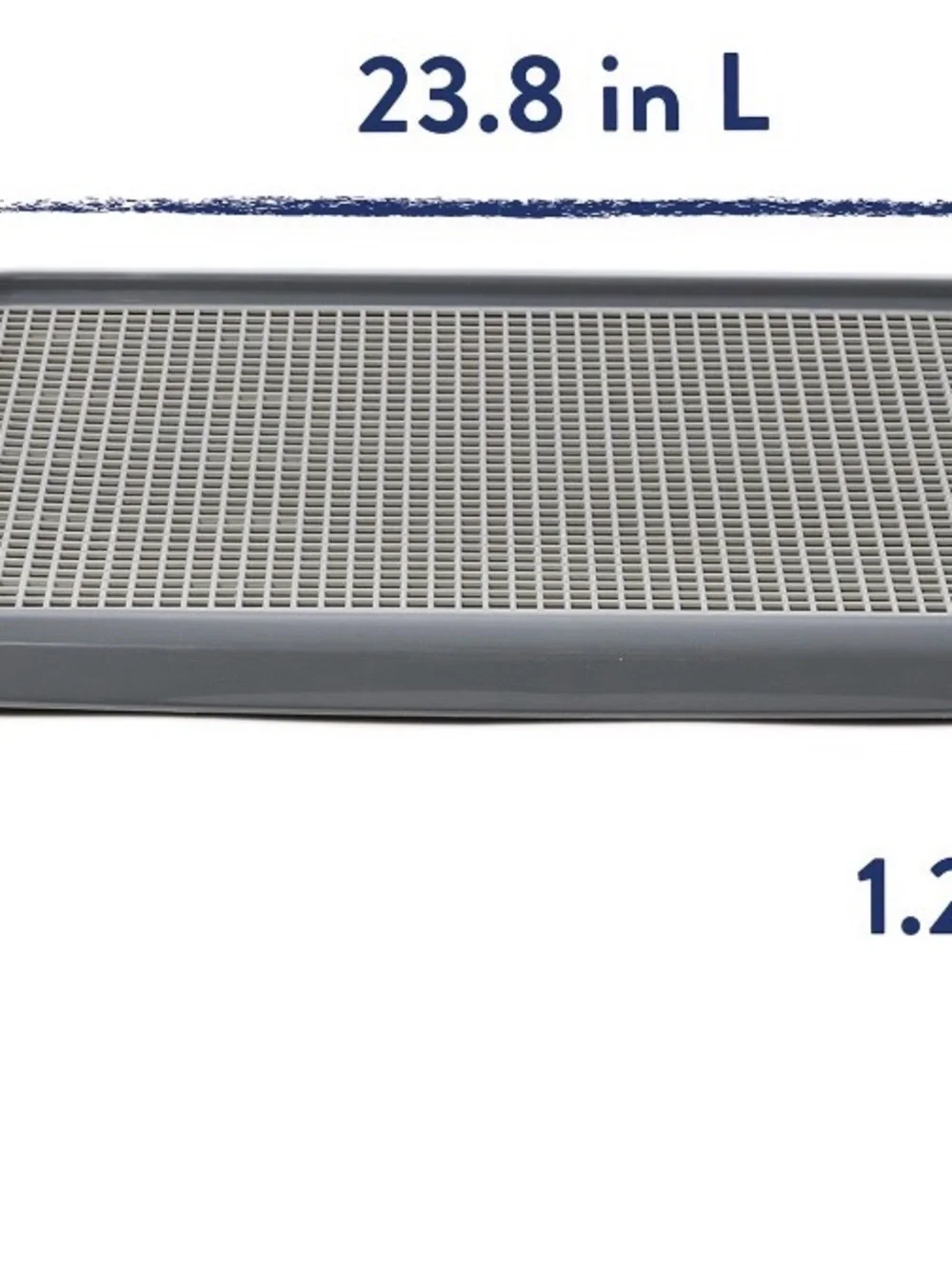 Gray Dog Housebreaking Tray with Removable Grid - by PetSmart